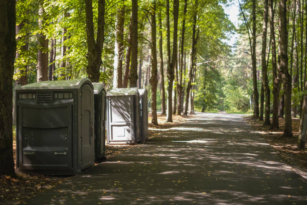 Porta potty rental for festivals in Elmwood Park, IL